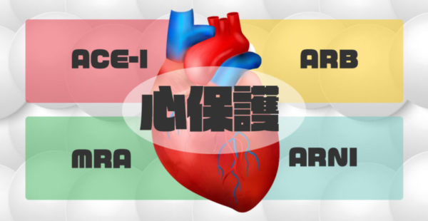 ACE-I・ARB・MRA・ARNIはなぜ心保護効果があるのか？